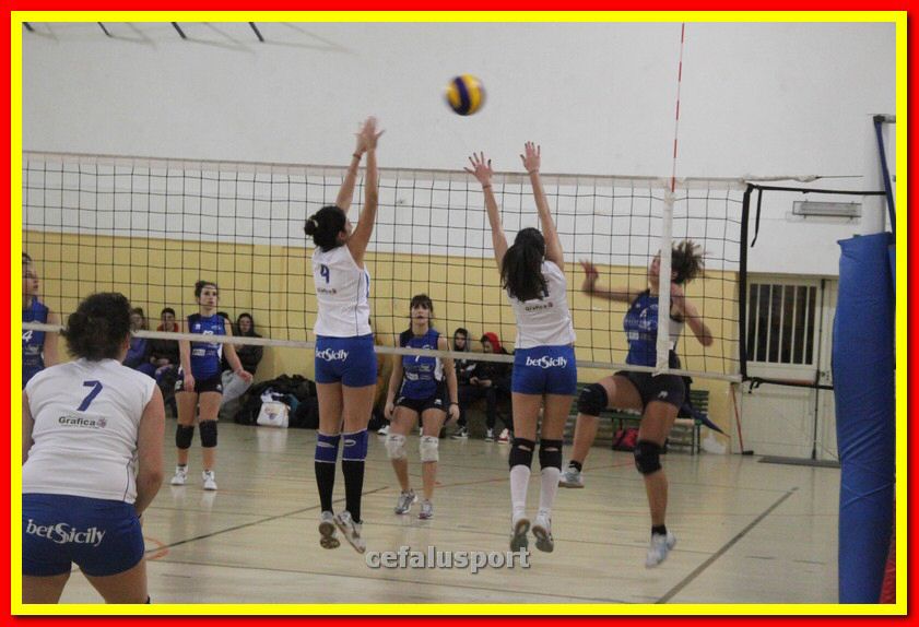 140305 Primula 123_tn.jpg